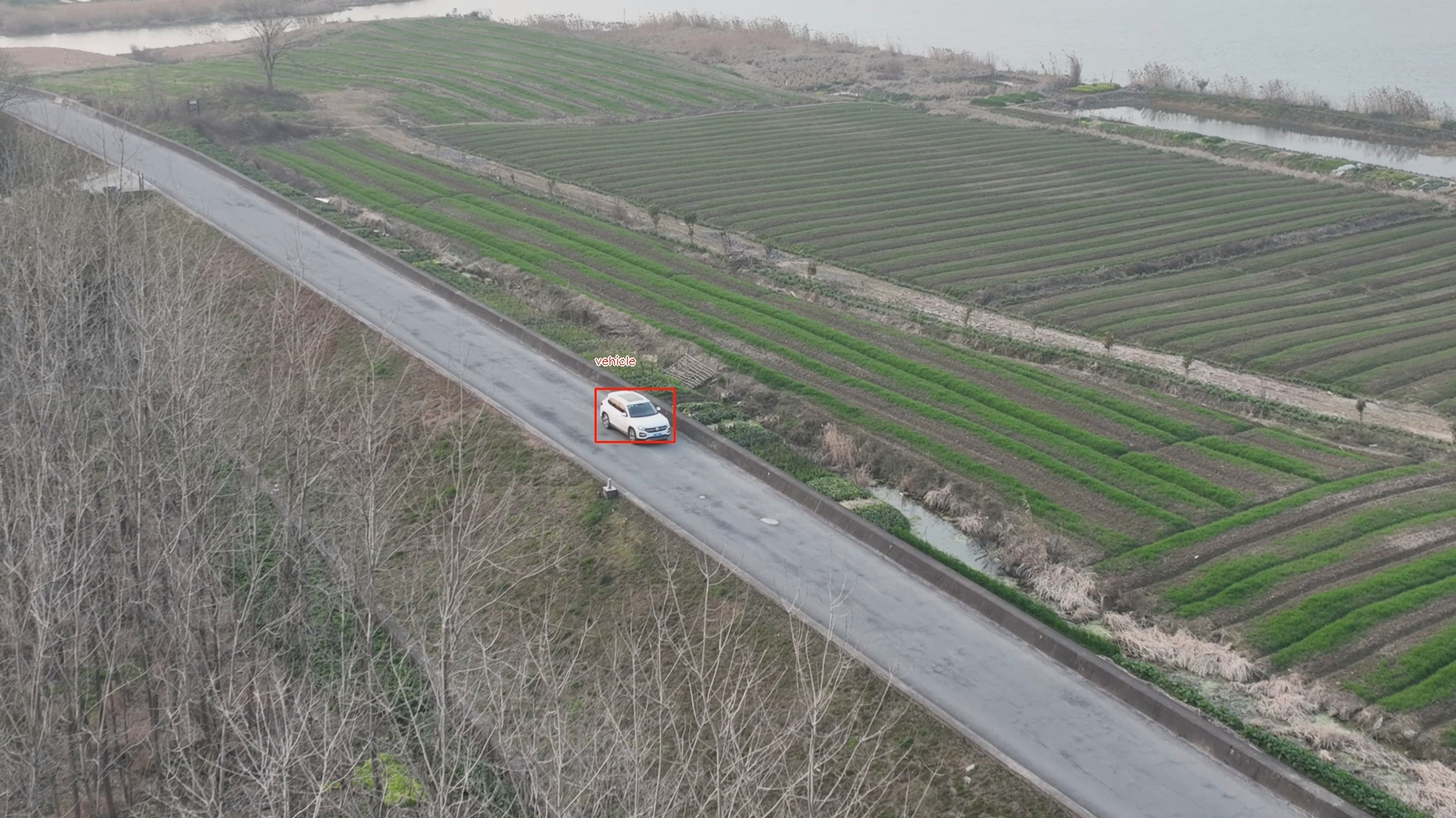 使用指南：無人機AI識別算法高效應用的關鍵步驟